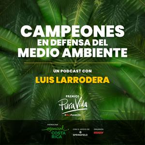 Premios Pura Vida