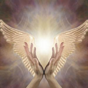 Salmi, un aiuto dagli Angeli