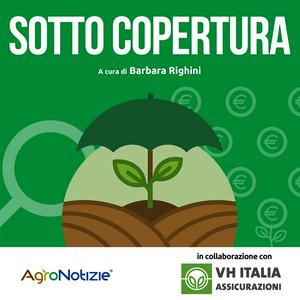 Sotto Copertura