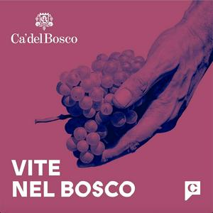 Vite nel bosco