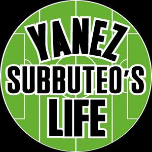 Yanez Subbuteo's Life