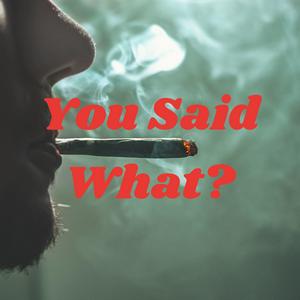 You Said What?
